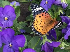 -南通洲际绿博园