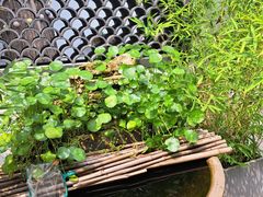 -潇湘·永州会馆(百子湾店)