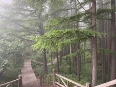 -驼梁风景区