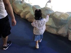 -芜湖新华联大白鲸海洋公园