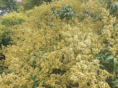 -鲤鱼塘农家山庄