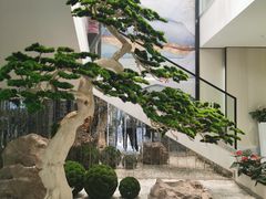 -碧丽宫大酒店(召稼楼店)