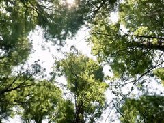 -同里国家湿地公园