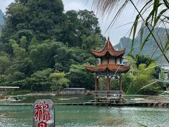 -靖西鹅泉风景区