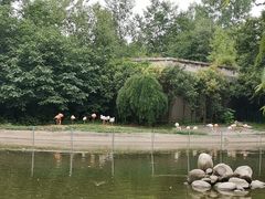 -西安秦岭野生动物园