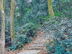 -岳麓山风景名胜区