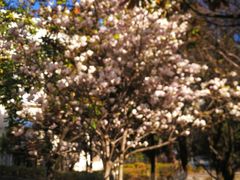 -云南师范大学(一二一西南联大校区)