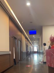 -上海玫瑰医疗美容医院