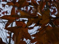 -吴淞口国际邮轮码头-停车场