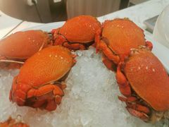 -西安绿地假日酒店·欧意咖啡厅