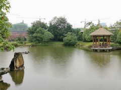 -张坝桂圆林公园