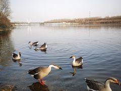 -沈阳森林动物园