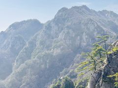 -王顺山国家森林公园