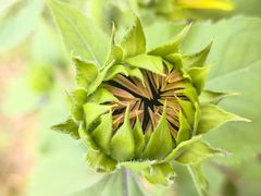 -光明小镇欢乐田园