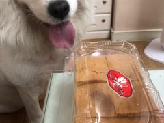 -白玉兰食品(甜云店)