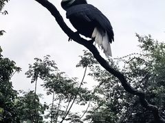 -广州长隆野生动物世界
