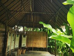 -大象粑粑造纸公园