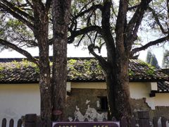 -毛泽东同志旧居