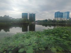 -西海子公园