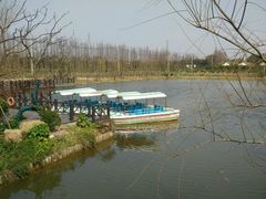 -上海长兴岛郊野公园