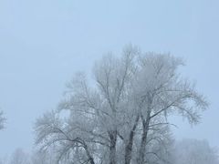 -富察氏乌拉满族火锅(乌拉街店)