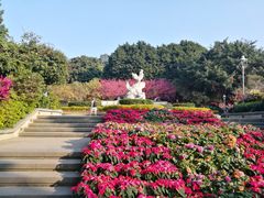 -金鸡山公园