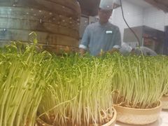 -千稻剁椒大鱼头(CityOn熙地港店)