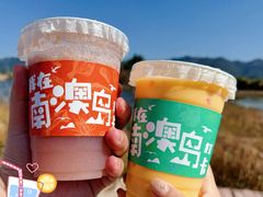 -南澳岛打卡果汁冰公司