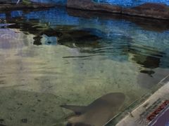 -鸿通城购物中心