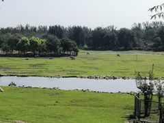 -北京麋鹿生态实验中心