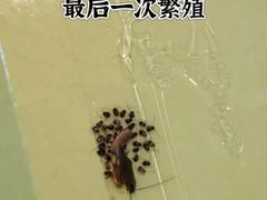 -上海久光百货