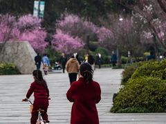 -阿哈湖国家湿地公园