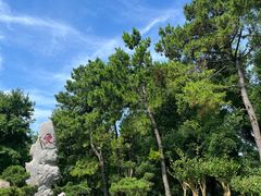 -东湖落雁景区