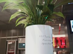 -海底捞火锅(武胜路凯德广场店)