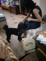 -杉惠素颜美妆皮肤管理中心