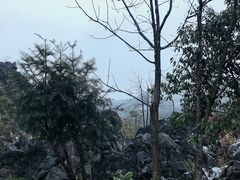 -千岛湖石林