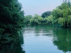 -济南大明湖景区