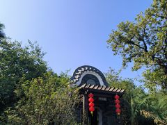 -海珠湖公园