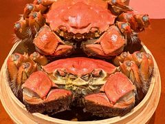 -上海明天广场JW万豪酒店