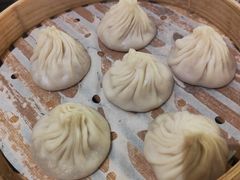 金奖头牌鲜肉小笼包-苏小柳点心·手作小笼包(鸿寿坊分院)