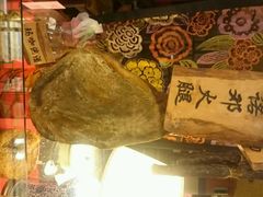 -醉云喃