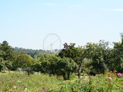 -宜兴龙背山森林公园