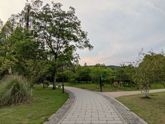 -杭州植物园