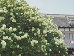 -常熟方塔园