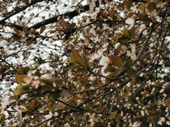 -幕燕滨江·长江观音景区
