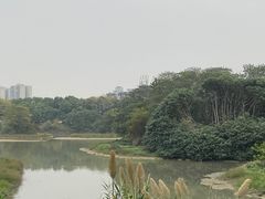 -广东花都湖国家湿地公园