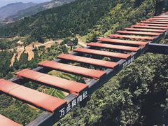 -梦幻奥陶纪景区