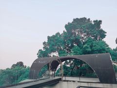 -城外有星光桥舍(南山店)