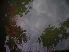 -龙潭水乡