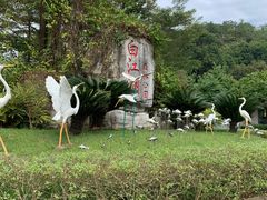 -广州白江湖森林公园